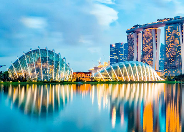 Immigration Visa